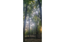 TBD-1 FM 2517, Carthage, TX 75633