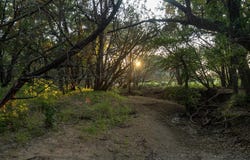 Legends Drive, Ranger, TX 76470