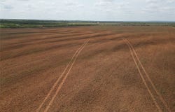 FM 614, Ovalo, TX 79541