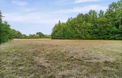 Highway 36, Mt. Vernon, AR 72111