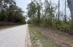 NE 355th Ave lot: 12, Old Town, FL 32680