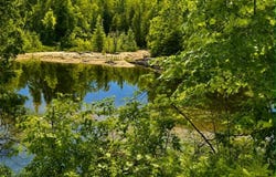 7038 Long Rapids Road, Alpena, MI 49707