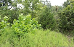 Pinkie Lane lot: B-1, Laurie, MO 65079