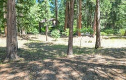 Timber Hills Road, Mount Shasta, CA 96067