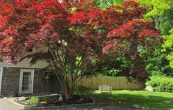 Port Jefferson, NY 11777