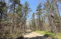 E GLADYS LANE, CHERRY VALLEY TWP, MI 49642