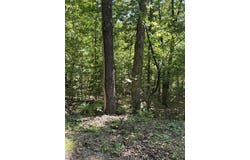 Spokane Drive, Cherokee Village, AR 72529