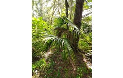 NW 66th Street, FL 34475