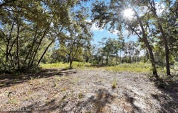 7455 RYE Court, Keystone Heights, FL 32656