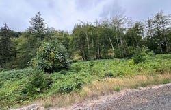 2 Dubois Rd, Ariel, WA 98603