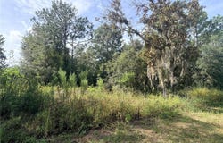 5066 E ANNA JO Drive, INVERNESS, FL 34452
