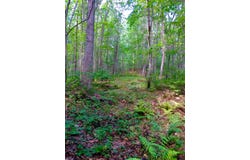 265 Webber Hill Road, Kennebunk, ME 04043