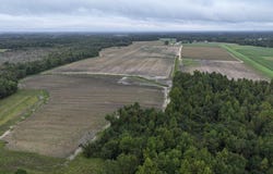 Huckleberry Road, Lucama, NC 27851