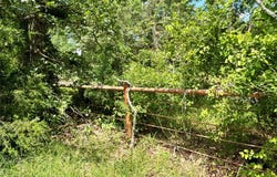 5982 Doe Trail, Gilmer, TX 75645