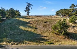 Pinehurst Rd, Gearhart, OR 97138