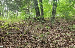 id13 Lakeview Trail, HOLLADAY, TN 38341