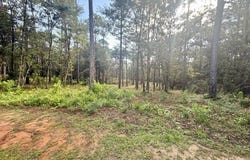 Cedar Trace, Mobile, AL 36582