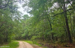 Wade Hampton Road, Hampton, SC 29924