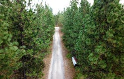 11618 E Dusty Ln, Chattaroy, WA 99003