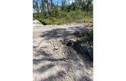 Bergman Road, Naylor, GA 31641