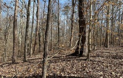 1 Ac Shawan Road, Clarksville, VA 23927