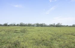 FM 86 lot: 1, Luling, TX 78648