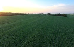 160th Road, Yale, IA 50277