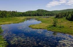 216 Old Forest Road, Stoddard, NH 03464