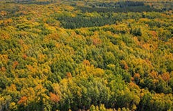 Parcel 6 County Road A, Solon Springs, WI 54873
