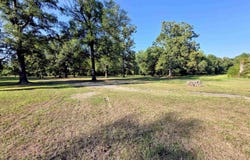 5780 Rodgers Rd E, Rison, AR 71665
