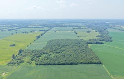Beech Grove Rd, Mayfield, KY 42066