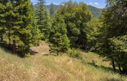 2397 Parmabelle, Mariposa, CA 95338