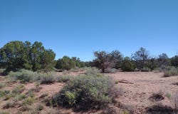 4247 Indian Bend Road, Snowflake, AZ 85937