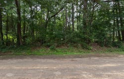 Starfire St, Ore City, TX 75683