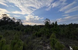 Bedsole Road, Eastman, GA 31023