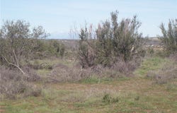 Willow Canyon Road, Hemet, CA 92544