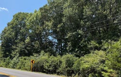 US-431, Lafayette, AL 36862