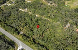KNOXVILLE Drive, WEBSTER, FL 33597