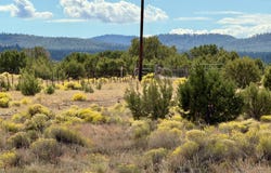 2500 E Hoctor Road, Williams, AZ 86046
