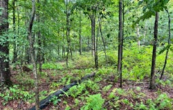 1.2 Brigham Rd, Richford, NY 13835