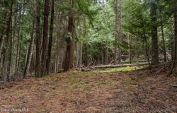 NNA Davis Creek, Santa, ID 83866