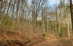Ivy Log Rd lot: 9, MURPHY, NC 28906