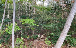 93 Deerfield Road, Mashpee, MA 02649