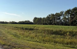 Homan Way, Mount Orab, OH 45154