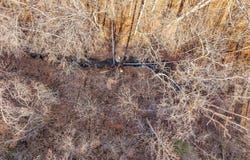 James Reeder Ln, Allons, TN 38541