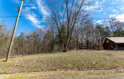 Salt Lane, Savannah, TN 38372