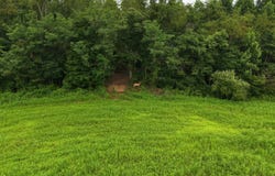 State Route 555, Cutler, OH 45724