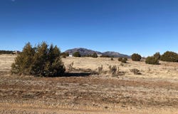 23 Joe Mae Road, Edgewood, NM 87015