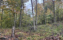 Glenmeal Rd., Canton, NY 13617