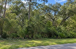 LITHIA PINECREST Road, VALRICO, FL 33596